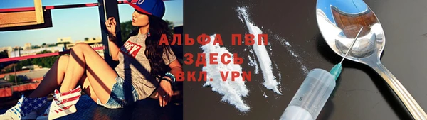 ПСИЛОЦИБИНОВЫЕ ГРИБЫ Абаза