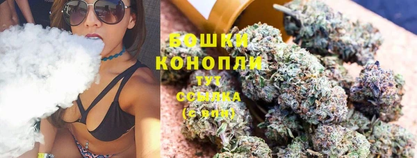 ПСИЛОЦИБИНОВЫЕ ГРИБЫ Абаза