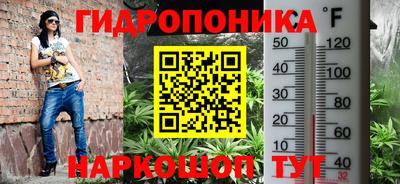 тгк Славгород