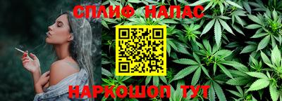 стаф Сланцы