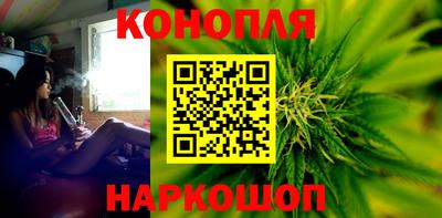 стаф Сланцы