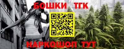 тгк Славгород