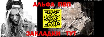 стаф Сланцы