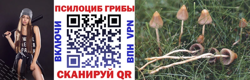 гидра зеркало  Сафоново  Галлюциногенные грибы Magic Shrooms 