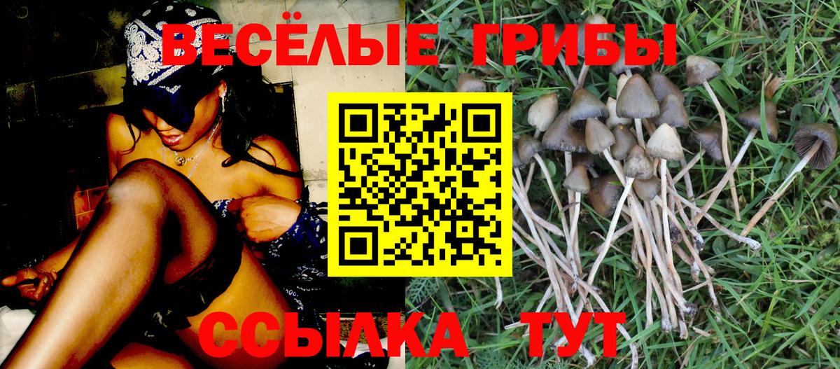 Псилоцибиновые грибы ЛСД Сафоново